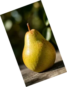 Sample photo of a pear transformed with w_300,a_20