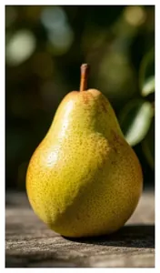 Sample photo of a pear transformed with w_300,bo_10px_white