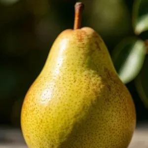 Sample photo of a pear transformed with w_300,h_300,c_fill