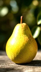 Sample photo of a pear transformed with e_brightness:35