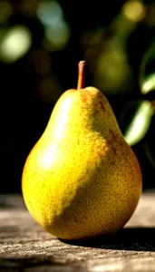 Sample photo of a pear transformed with e_contrast:60