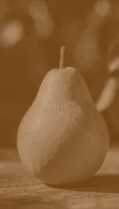 Sample photo of a pear transformed with e_sepia