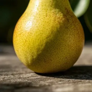 Sample photo of a pear transformed with w_300,h_300,c_fill,g_south