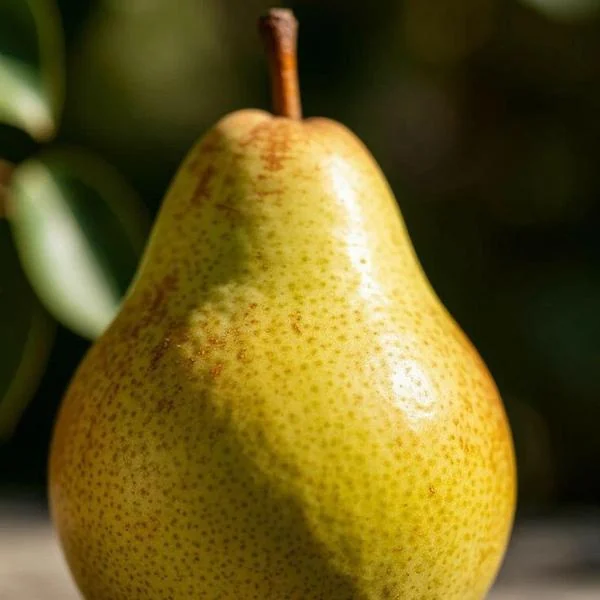Flip applied to the pear photo