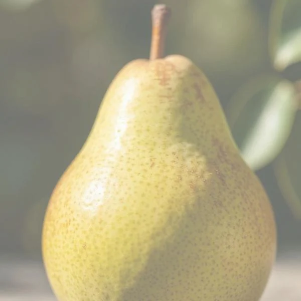 Opacity applied to the pear photo