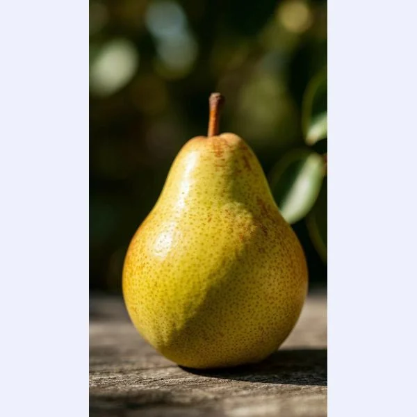 Pad applied to the pear photo