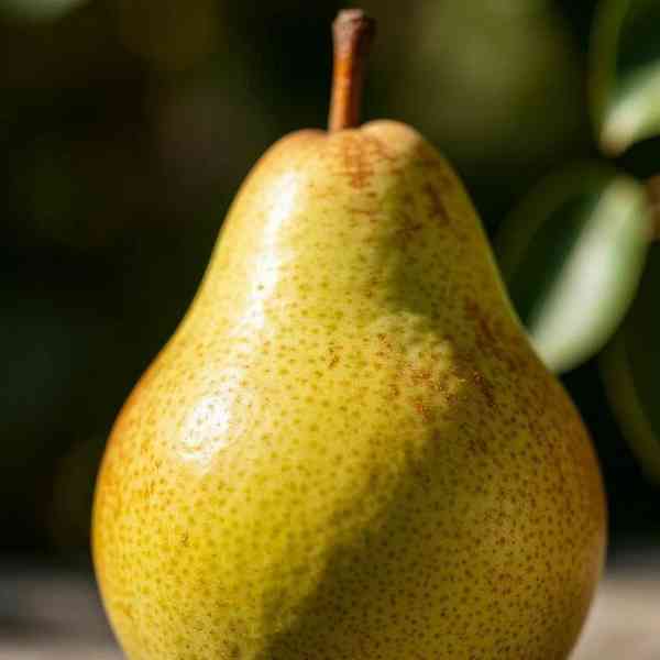 Quality 30 applied to the pear photo
