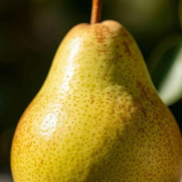 Thumb applied to the pear photo