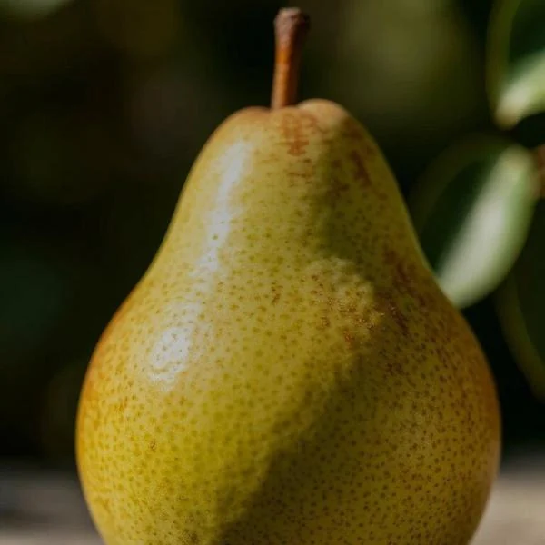 Vignette applied to the pear photo
