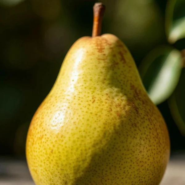 Original pear photo